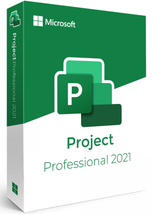 MS Project Professional