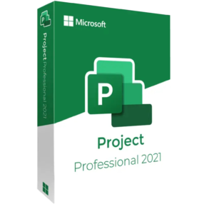 MS Project Professional
